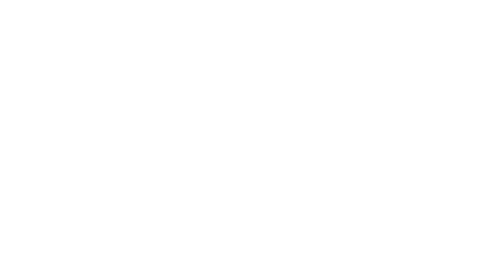 Die Kraft der Region